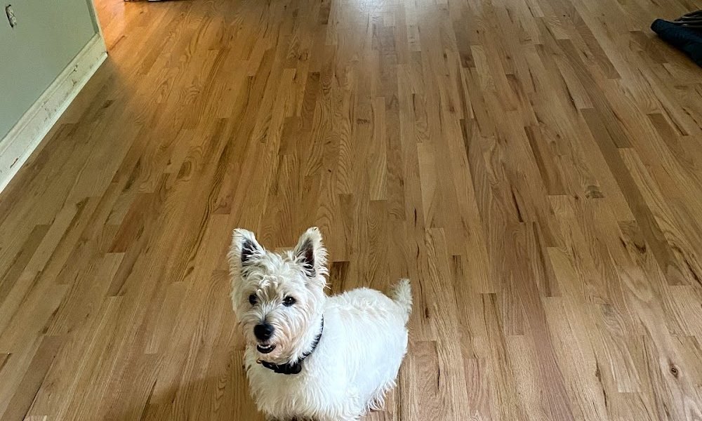 Dave’s Hardwood Flooring