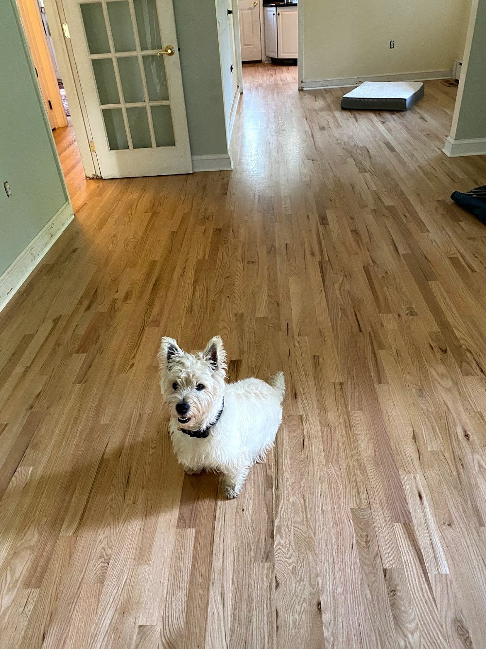 Dave’s Hardwood Flooring